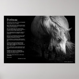 Desiderata - Fine Art Pony Head och Mane Poster