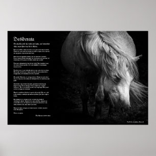 Desiderata - Fine Art Pony Head och Mane Poster