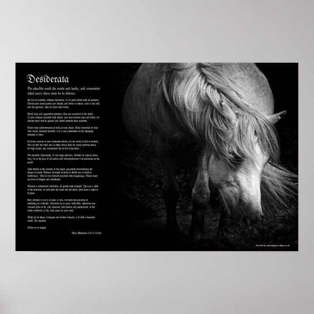 Desiderata - Fine Art Pony Head och Mane Poster (Framsidan)