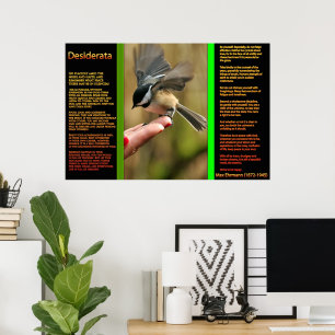 DESIDERATA Flies Sparrow Poster