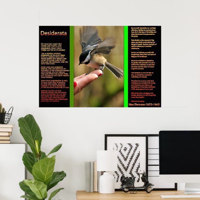 DESIDERATA Flies Sparrow Poster (Hemmakontoret)
