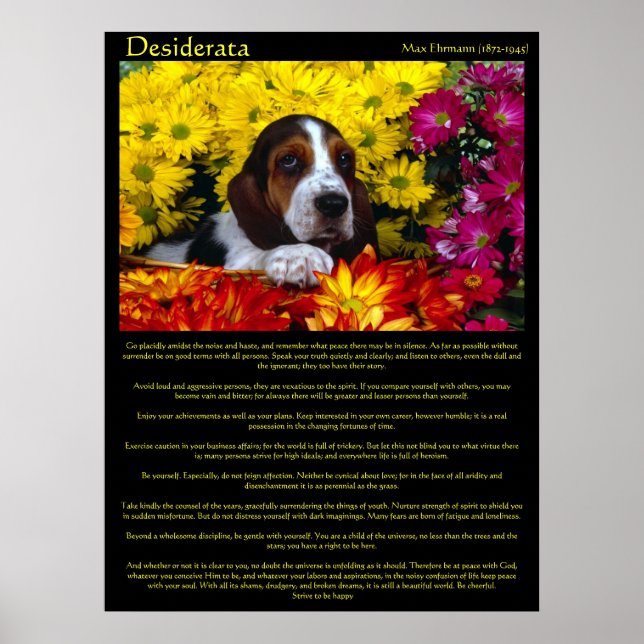 Desiderata Flower Beagle Poster (Framsidan)