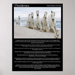 Desiderata hästar som springer Poster