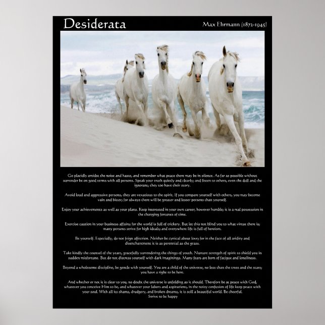 Desiderata hästar som springer Poster (Framsidan)