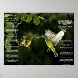 Desiderata Hummingbird Poster