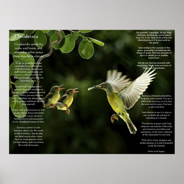 Desiderata Hummingbird Poster (Framsidan)