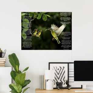Desiderata Hummingbird Poster