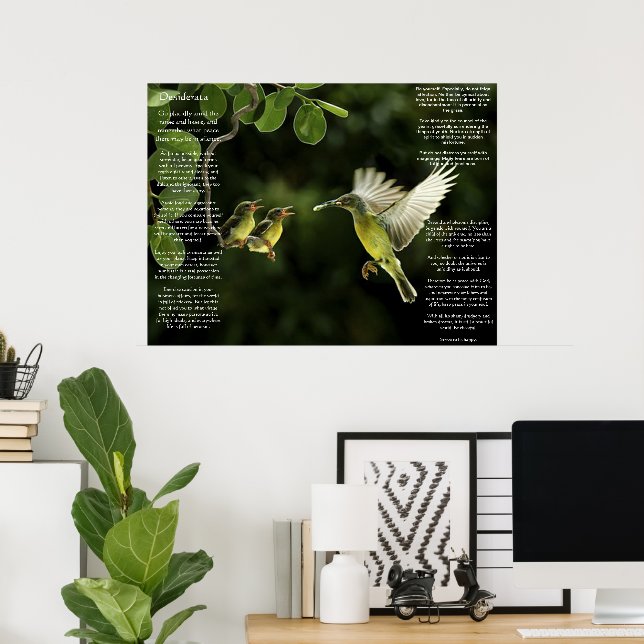 Desiderata Hummingbird Poster (Hemmakontoret)