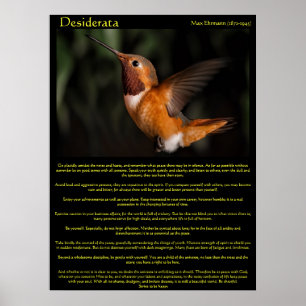 Desiderata Hummingbird Poster 2