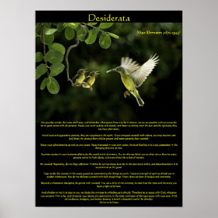 Desiderata Hummingbird Poster 3