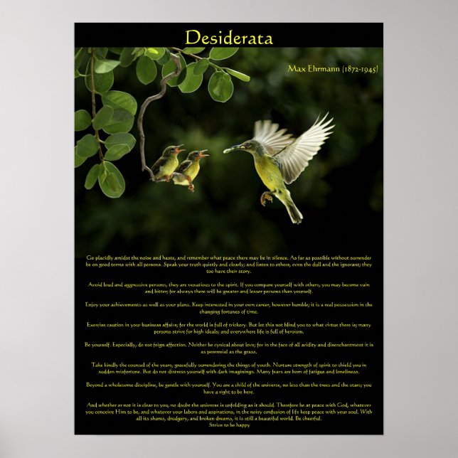 Desiderata Hummingbird Poster 3 (Framsidan)