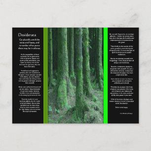 DESIDERATA Mörk Mossy Forest Postcard Vykort