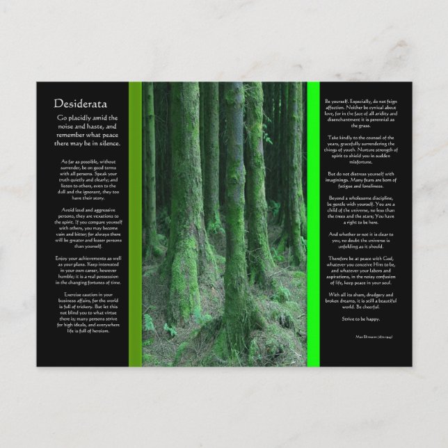DESIDERATA Mörk Mossy Forest Postcard Vykort (Framsida)