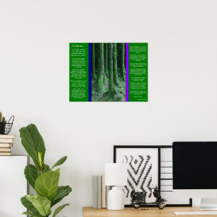 DESIDERATA Mörk Mossy Forest Poster