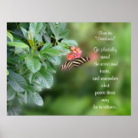 Desiderata on Photo of zebra vinge butterfly