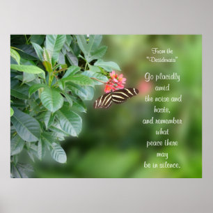 Desiderata on Photo of zebra vinge butterfly Poster