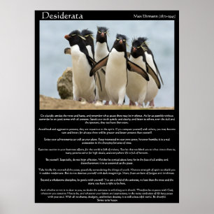 Desiderata Penguins Walking Poster