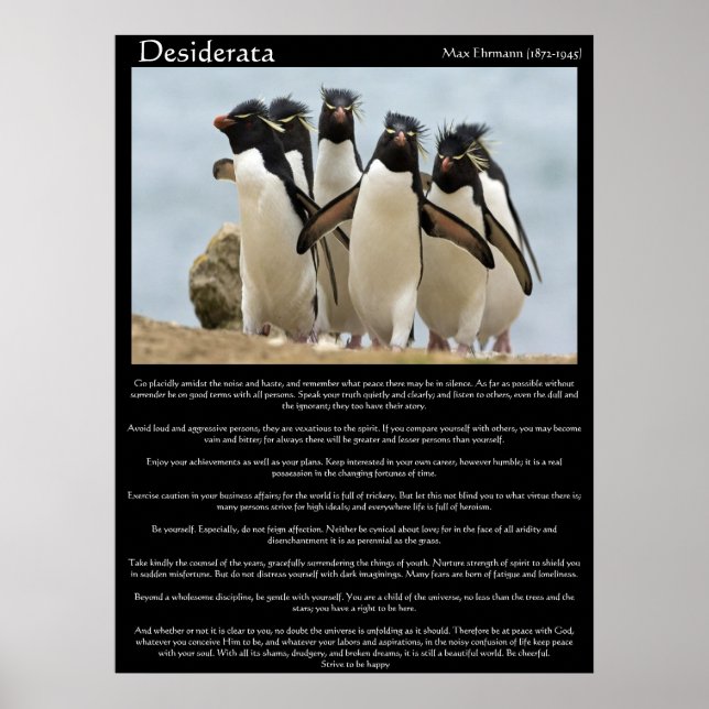 Desiderata Penguins Walking Poster (Framsidan)