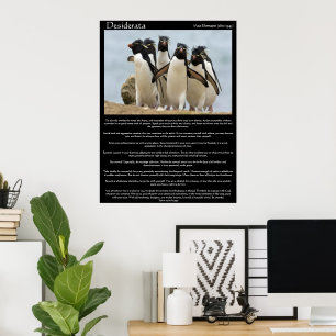 Desiderata Penguins Walking Poster