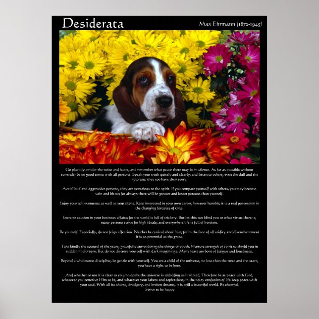 Desiderata Poster 6 (Framsidan)