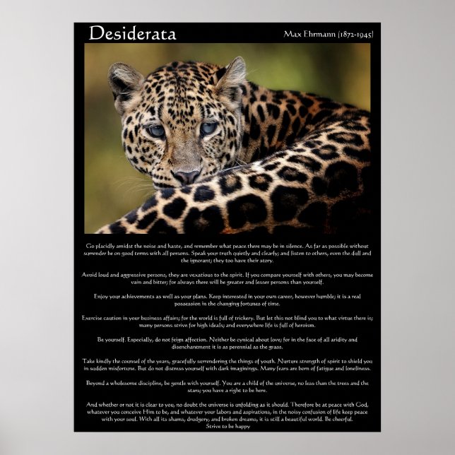 Desiderata Poster 8 (Framsidan)