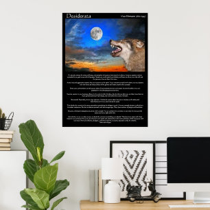 Desiderata Poster med varg som tittar i måne