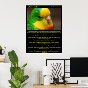 Desiderata Rainbow Canary Poster