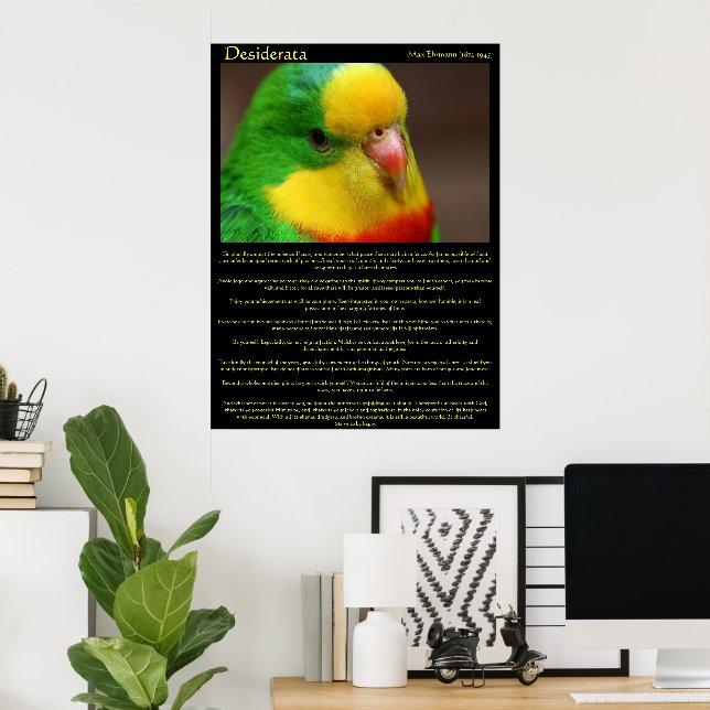Desiderata Rainbow Canary Poster (Hemmakontoret)