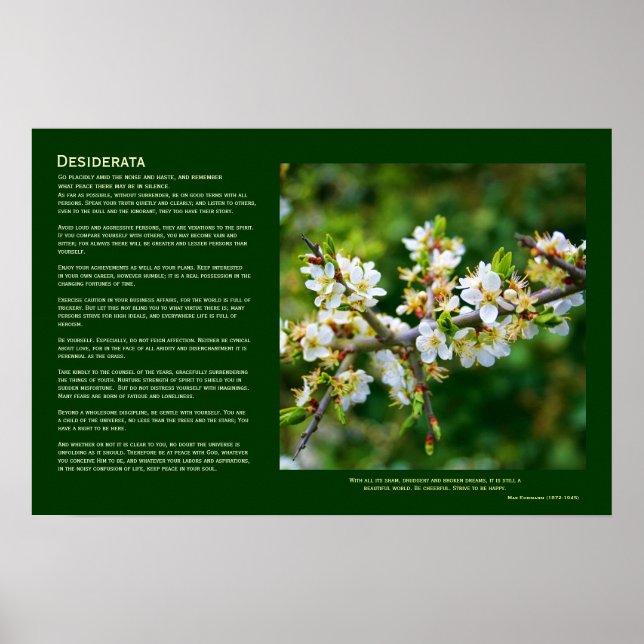Desiderata - Sol-Dappled Vår Hawthorn Poster (Framsidan)