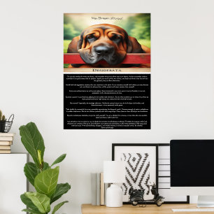 Desiderata: Språket för vila Poster