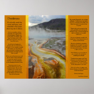 DESIDERATA Thermal Bassäng Poster