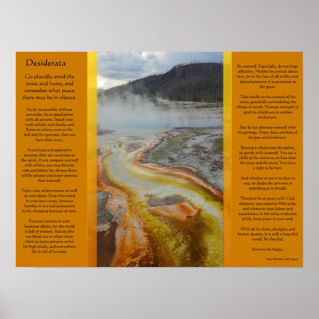 DESIDERATA Thermal Bassäng Poster (Framsidan)