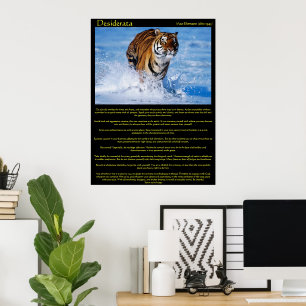 Desiderata Tiger i Vatten Poster