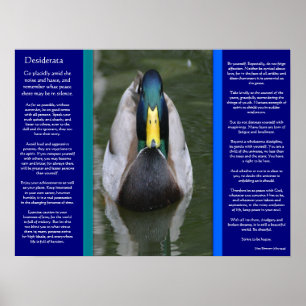 DESIDERATA Tittar Anka Poster