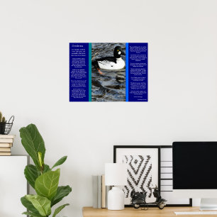 DESIDERATA Tittar Anka Poster