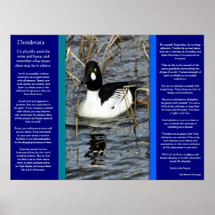 DESIDERATA Tittar Anka Poster 2