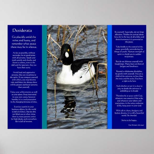 DESIDERATA Tittar Anka Poster 2 (Framsidan)