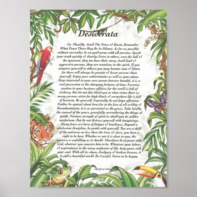 DESIDERATA Tropical Rain Forest Poster (Framsidan)