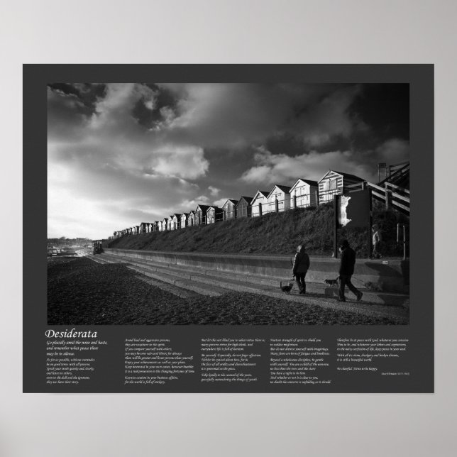 Desiderata - Väntar på Hundar Poster (Framsidan)