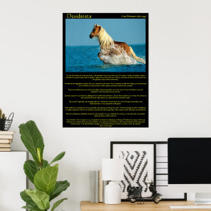 Desiderata Vatten Horse Poster