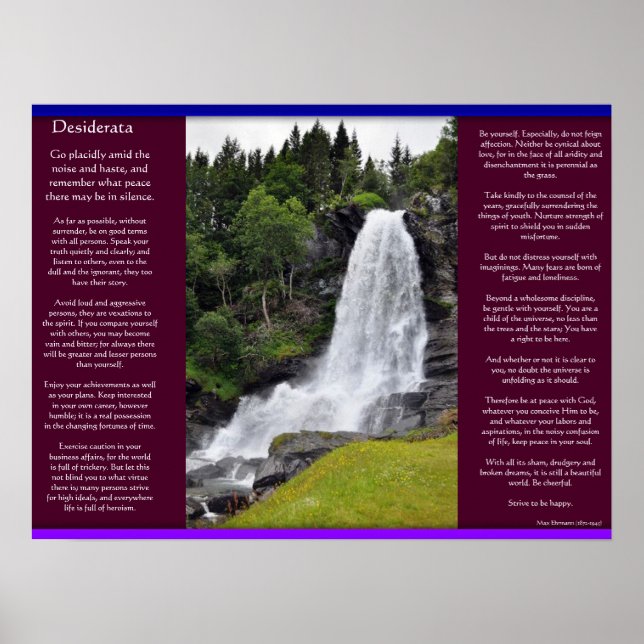 DESIDERATA Vattenfall Poster 13 (Framsidan)