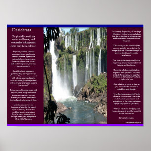 DESIDERATA Vattenfall Poster 3