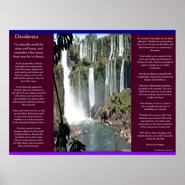 DESIDERATA Vattenfall Poster 3 (Framsidan)