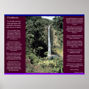 DESIDERATA Vattenfall Poster 6