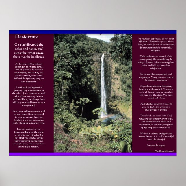 DESIDERATA Vattenfall Poster 6 (Framsidan)