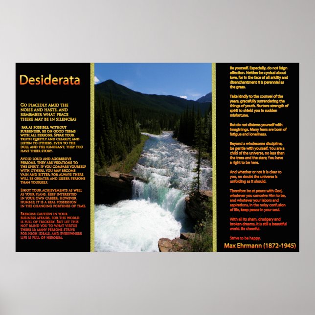 DESIDERATA Waterfalls Orange Poster 8 (Framsidan)