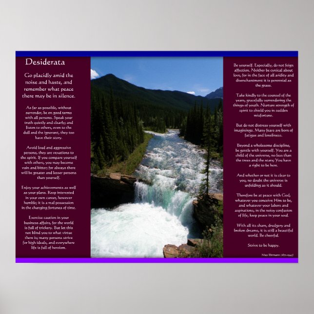 DESIDERATA Waterfalls Poster 8 (Framsidan)