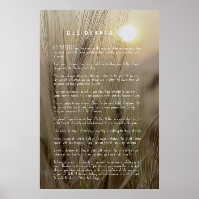 DESIDERATA Wheat Field Poster (Framsidan)