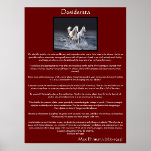 Desiderata white arabian Poster