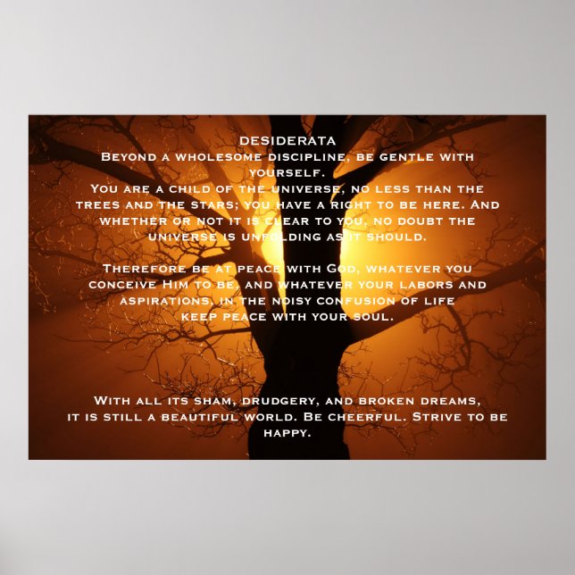 DESIDERATA Willow Träd Poster (Framsidan)